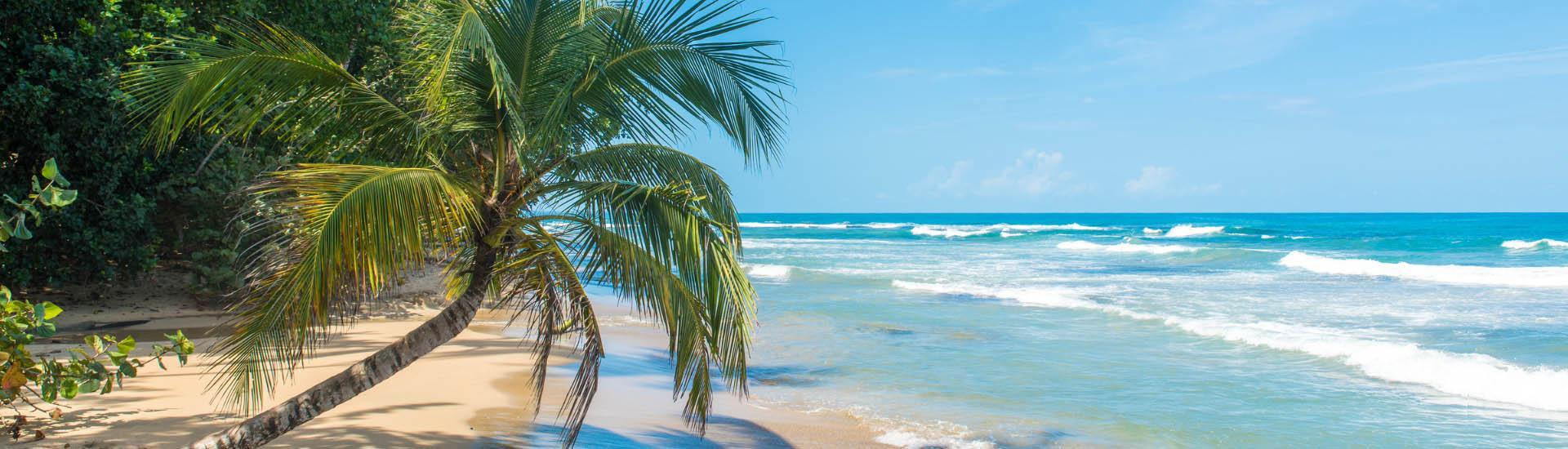 Where nature's wonders meet the 'pura vida' spirit.