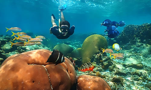 7-Day - The Amazing Yucatan Peninsula